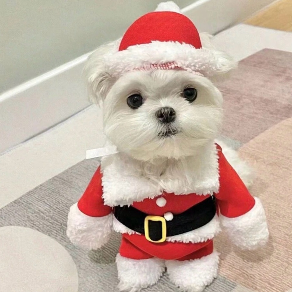 NWT Christmas Costume For Pet